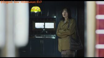 Light Shop 2