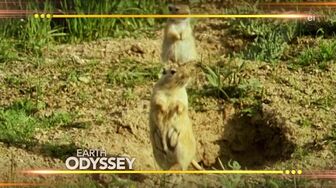 Earth Odyssey With Dylan Dreyer S09E03 WEB H264-RBB