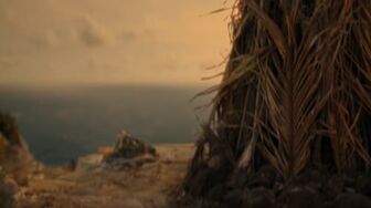 The Bluff