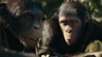 majmok bolygoja birodalom Kingdom the the Apes 2024 Hun AMZN WEBRip x264