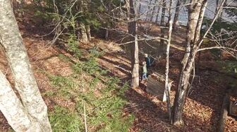 Maine Cabin Masters S13E06 WEB H264-RBB